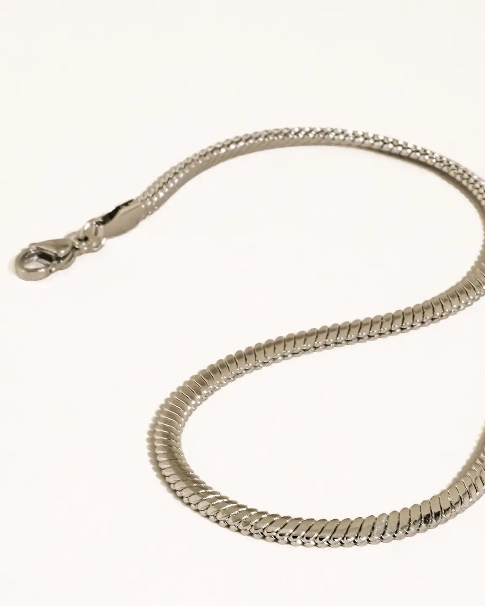 Silver Snake Chain Necklace