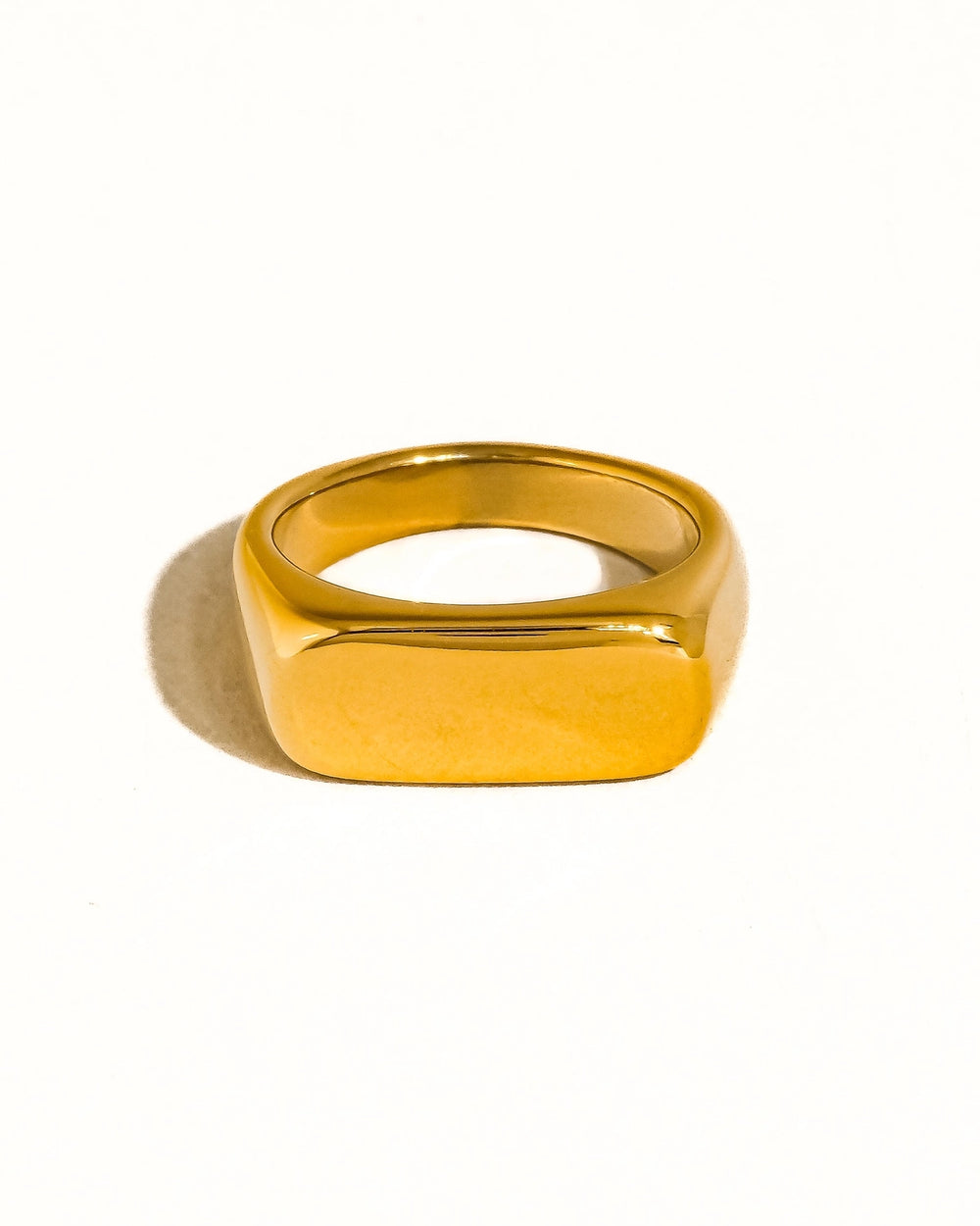 Signet Ring - Gold or Silver