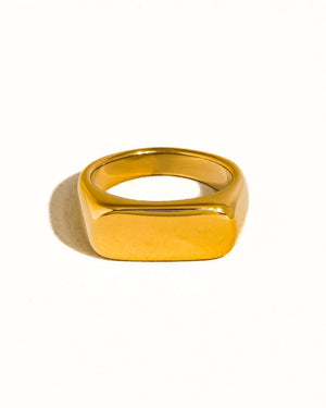 Signet Ring - Gold or Silver