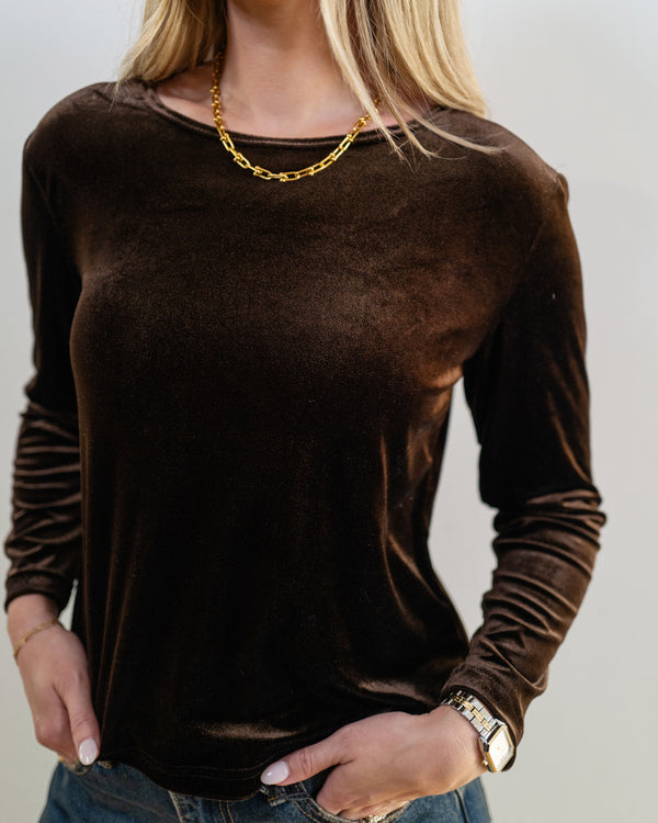 Vintage Brown Velvet Top