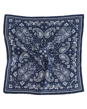 Paisley Silk Bandana Scarf