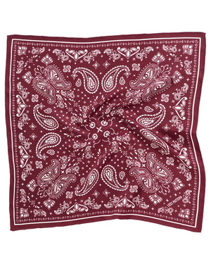 Paisley Silk Bandana Scarf